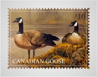 Vector Design by SeXtreme for this project | Design #5541679