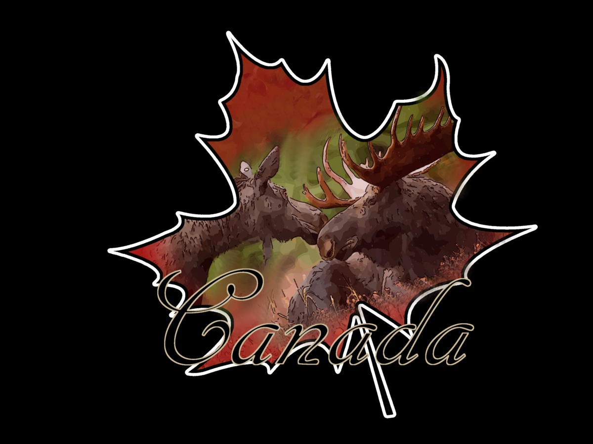Vector Design by Kenidus for this project | Design #5556353