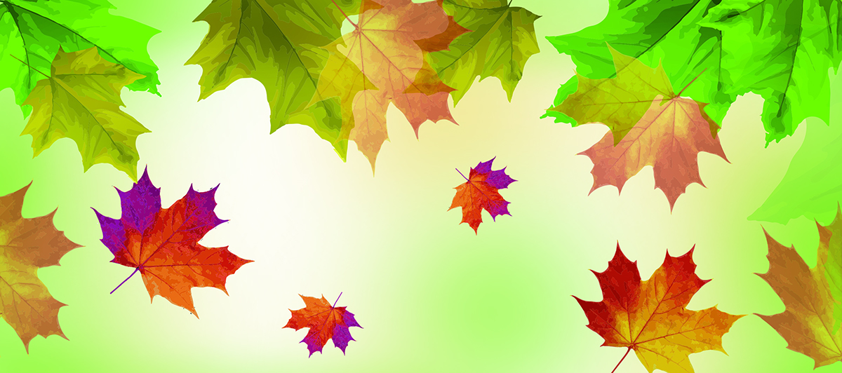 Vector Design by nafizrahat for this project | Design #5567108