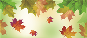 Vector Design by nafizrahat for this project | Design: #5567108
