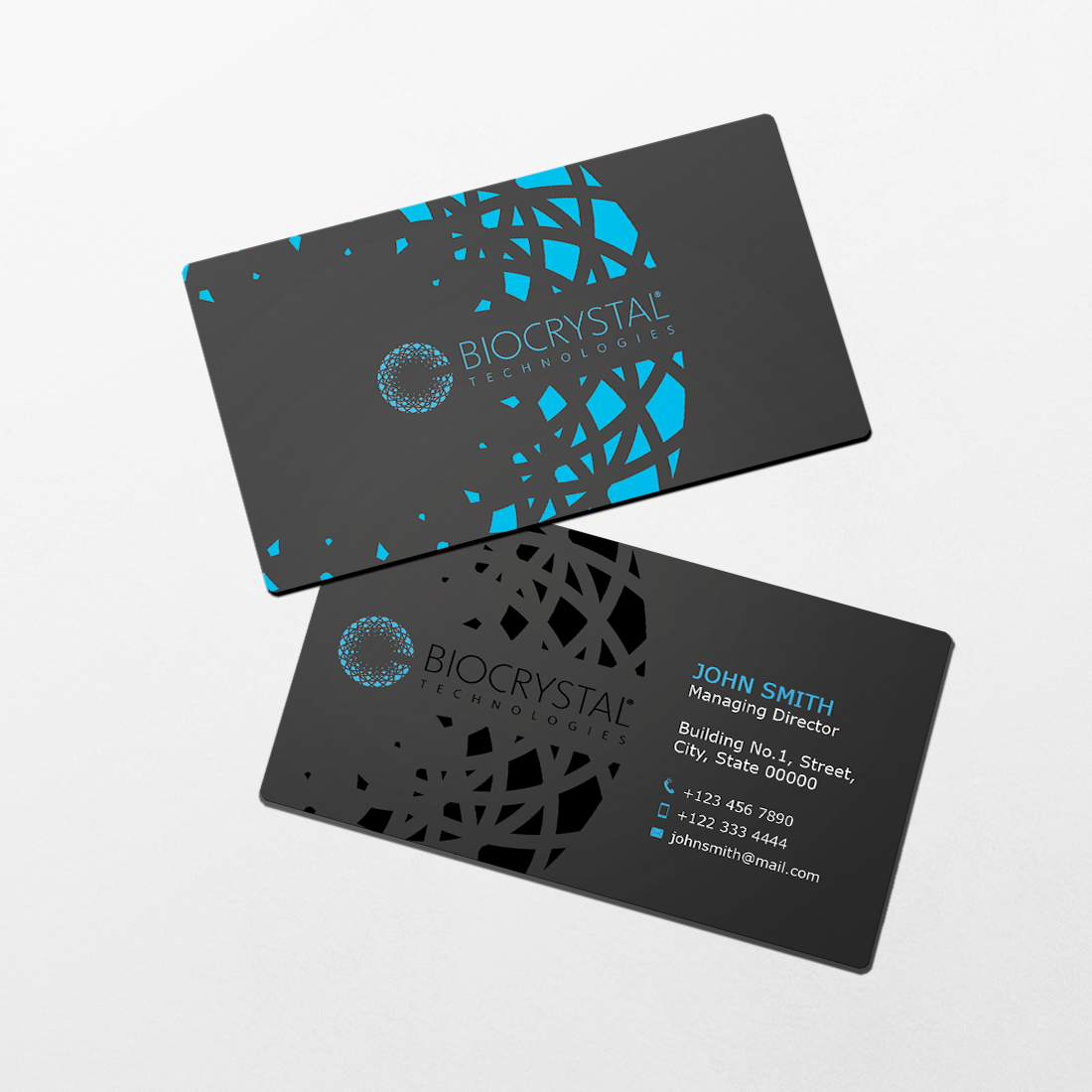 Business Card Design by Sajin for Biocrystal technologies  | Design #5570304