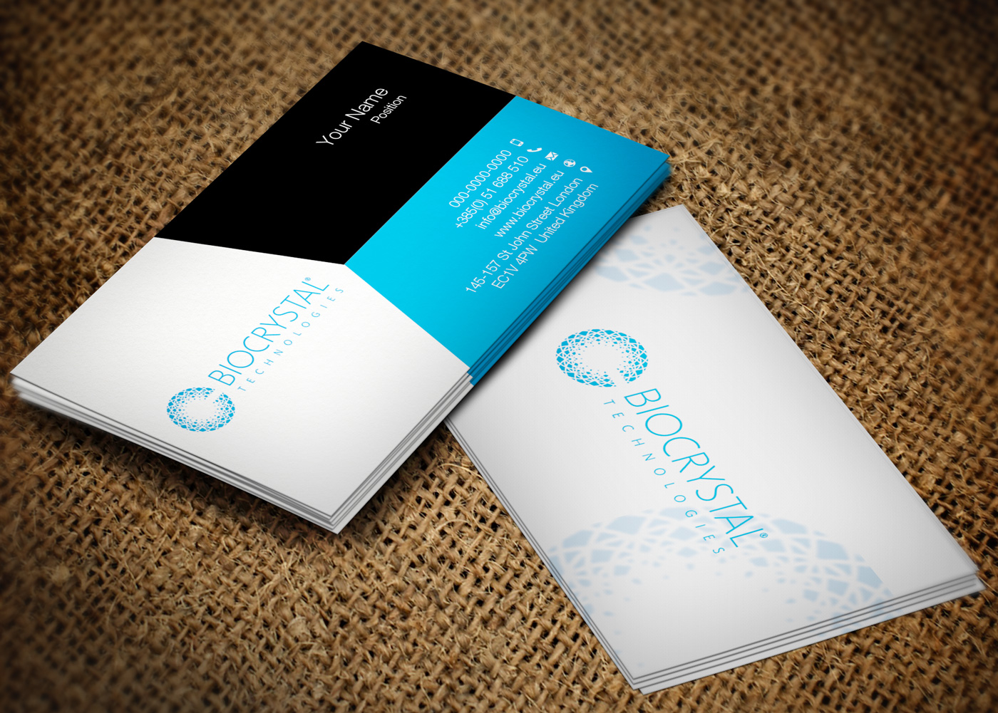Business Card Design by Lanka Ama for Biocrystal technologies  | Design #5531844