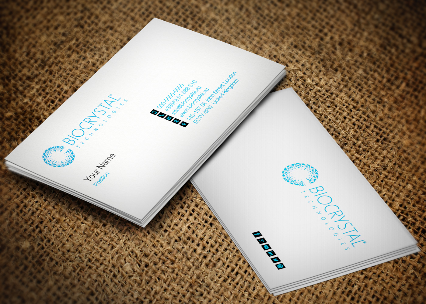 Business Card Design by Lanka Ama for Biocrystal technologies  | Design #5531845