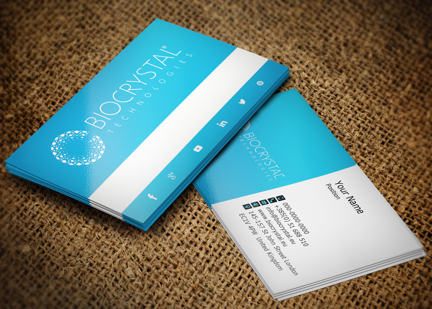 Business Card Design by Lanka Ama for Biocrystal technologies  | Design #5531850