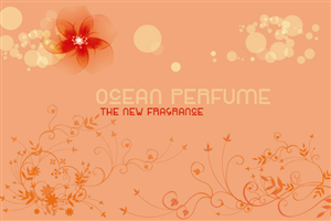 Packaging Design by decentmadiha