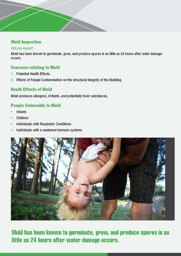 Diseño de Brochure por mostafa para este proyecto | Diseño #1566074