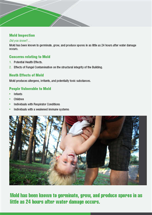 Brochure Design by mostafa for this project | Design #1566074