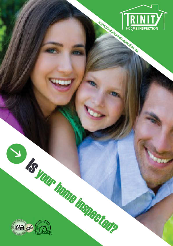 Brochure Design by mostafa for this project | Design #1566078