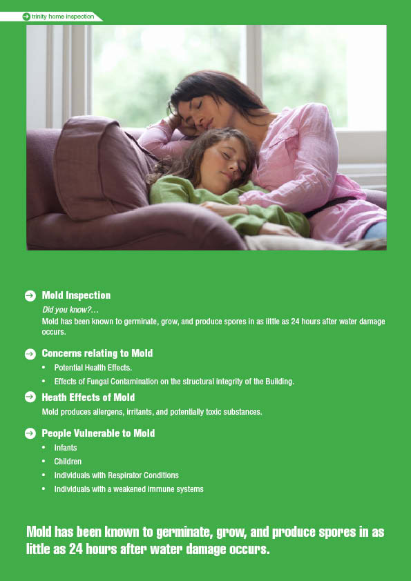 Brochure Design by mostafa for this project | Design #1566085