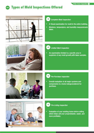 Brochure Design by mostafa for this project | Design: #1566087