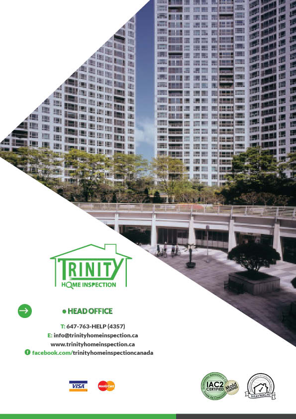 Brochure Design by mostafa for this project | Design #1566088