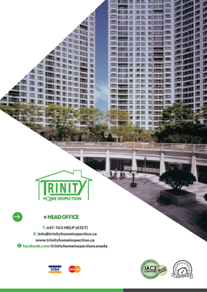 Brochure Design by mostafa for this project | Design: #1566088