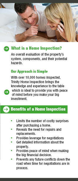 Brochure Design by mostafa for this project | Design #1568428