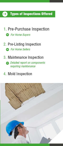 Brochure Design by mostafa for this project | Design #1568436