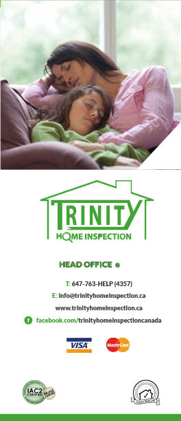 Brochure Design by mostafa for this project | Design #1568447