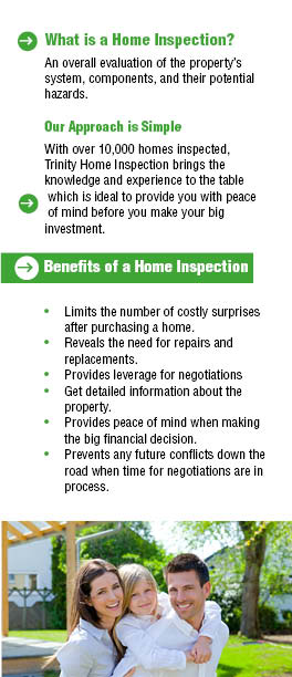 Brochure Design by mostafa for this project | Design: #1568449