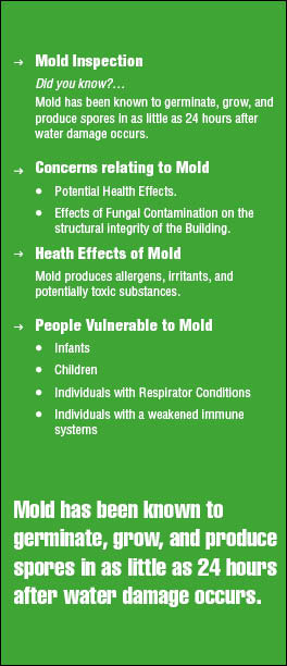 Brochure Design by mostafa for this project | Design: #1568452