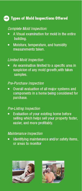 Brochure Design by mostafa for this project | Design #1568454