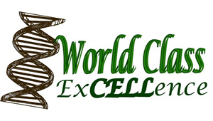 Logo Design by BandM Design for this project | Design #1528385