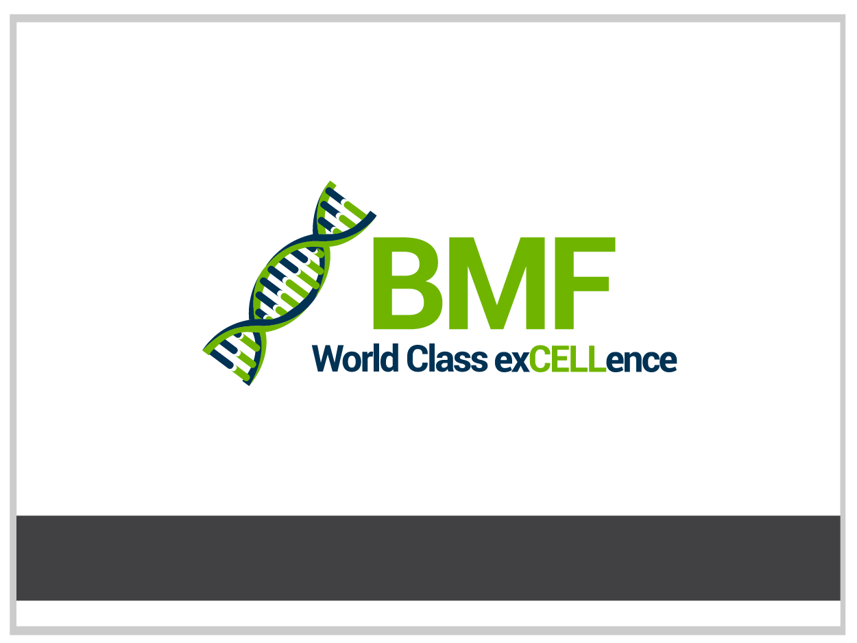 Logo-Design von vhey für dieses Projekt | Design #1637335