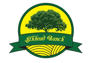 Logo Design by Aysan for this project | Design: #5578814
