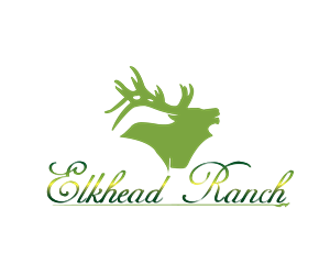 Logo-Design von Feel free Design