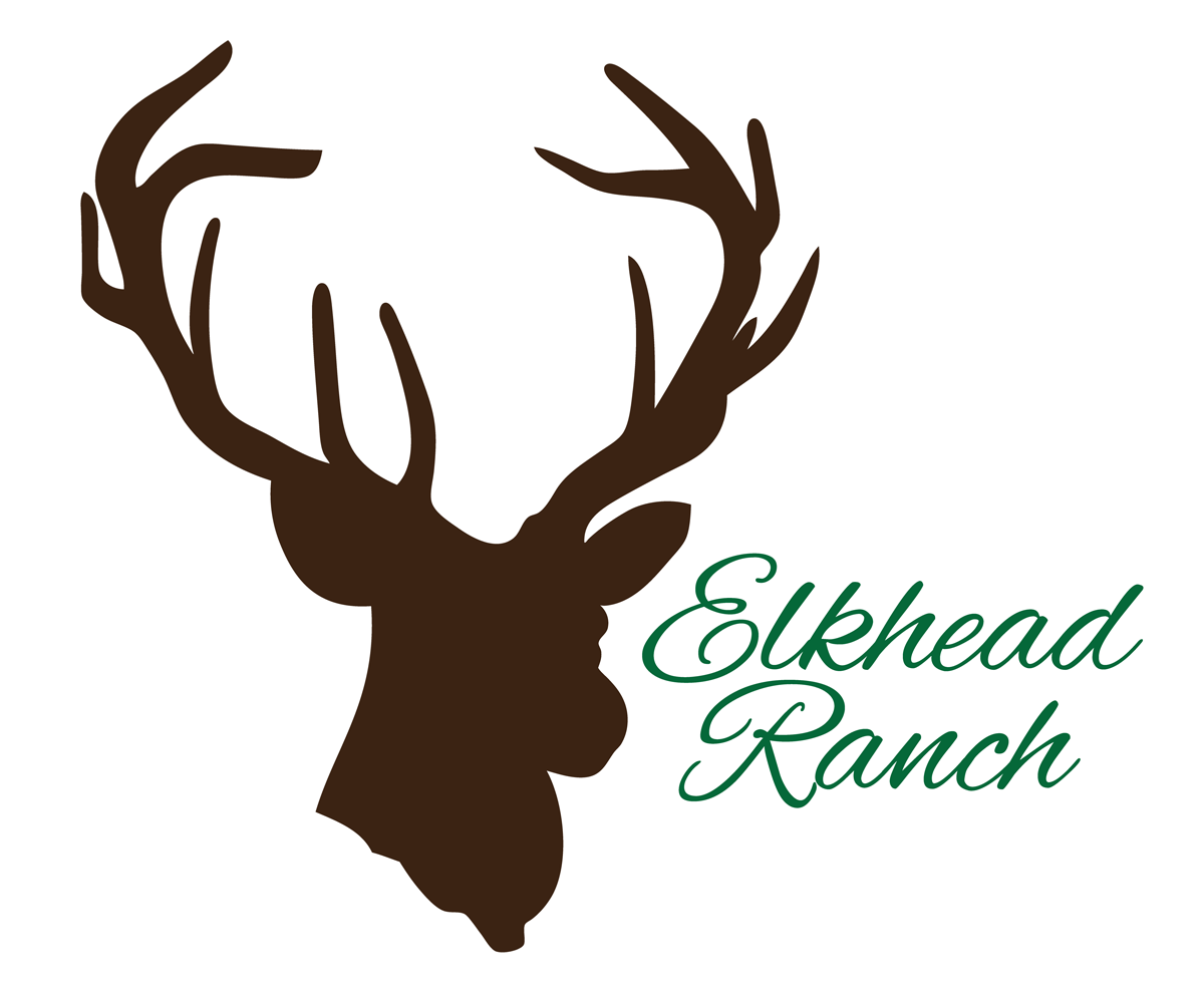 Diseño de Logo por paigeamcnulty para este proyecto | Diseño #5578759