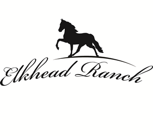 Logo Design by acinger