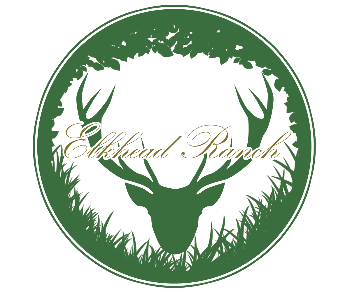 Logo Design by Calin Scott for this project | Design #5555888