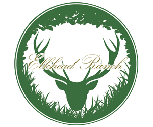 Logo Design by Calin Scott