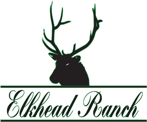 Logo Design by ZackP