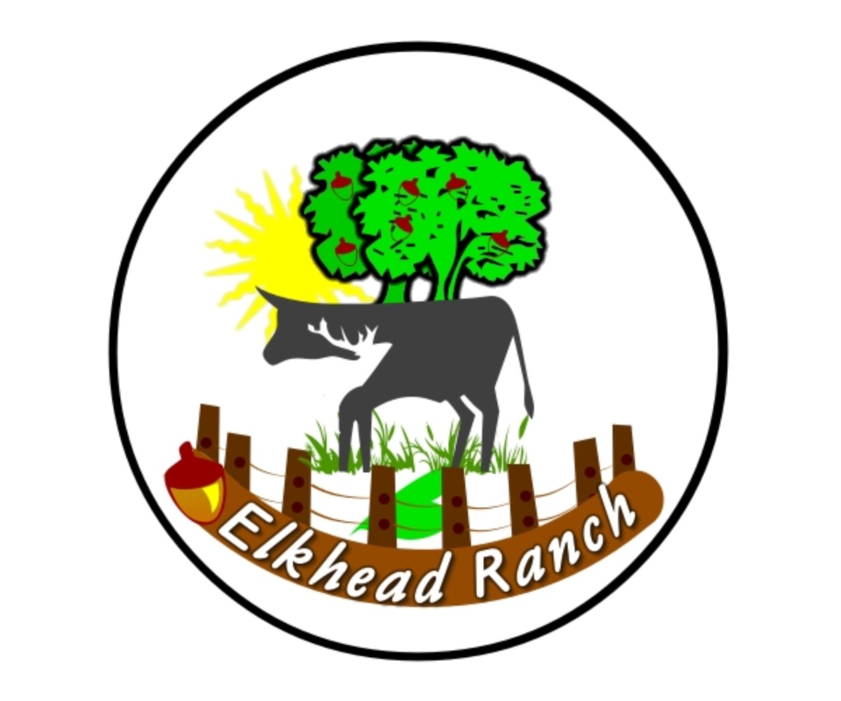 Diseño de Logo por chamarijaya para este proyecto | Diseño #5583490