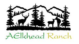 Logo Design by Sawkat