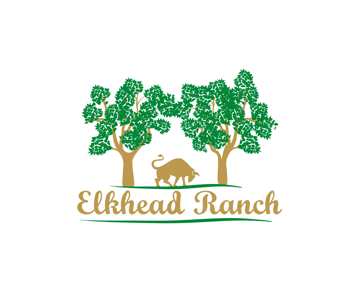 Diseño de Logo por DZINO para este proyecto | Diseño #5574735