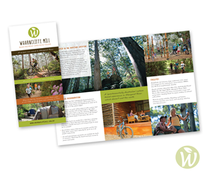 Brochure Design by quiddity