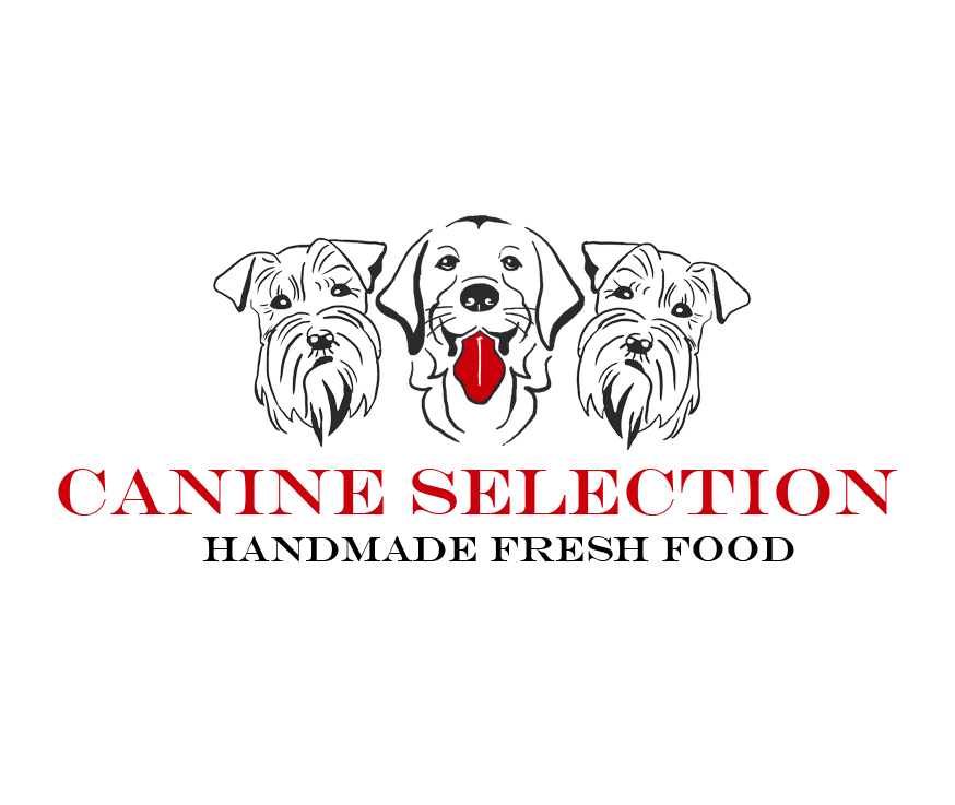 Logo Design by AnaMilica for this project | Design #5603599