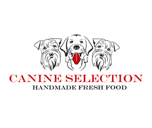 Logo Design by AnaMilica