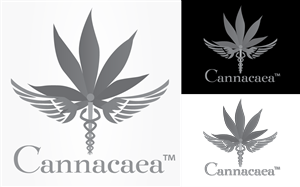 Logo Design by tballest for this project | Design: #5612788