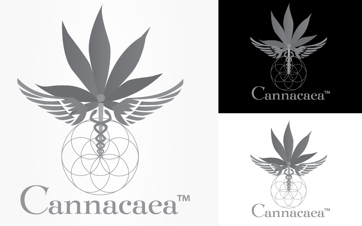 Diseño de Logo por tballest para este proyecto | Diseño #5614581