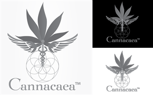 Diseño de Logo por tballest para este proyecto | Diseño #5614581