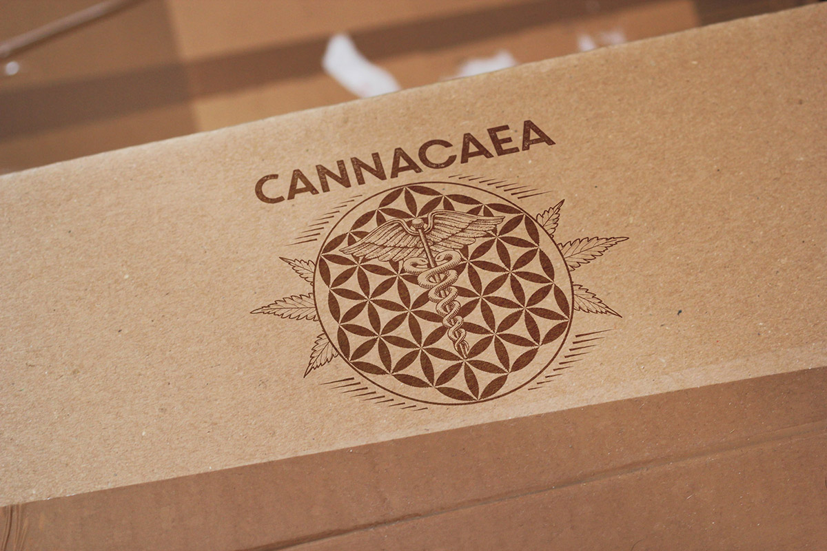 Logo Design by Slav for this project | Design #5571394