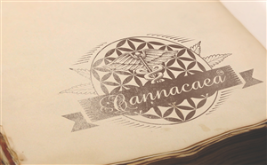 Logo Design by Slav for this project | Design: #5582961