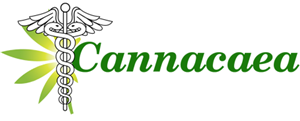 Logo Design by nirmani