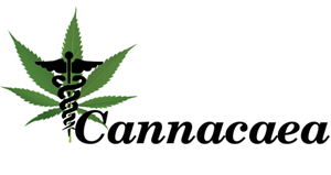 Logo Design by nirmani for this project | Design: #5618800