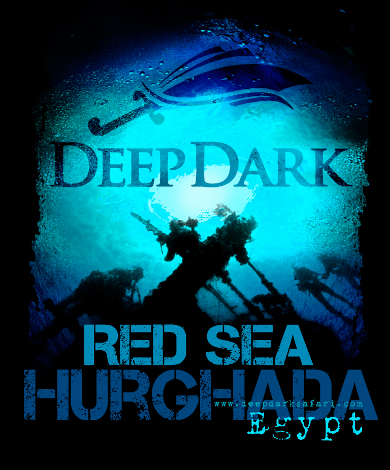 Diseño de Camiseta por nanstrack para este proyecto | Diseño #5564070