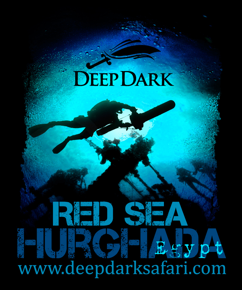 Diseño de Camiseta por nanstrack para este proyecto | Diseño #5588508