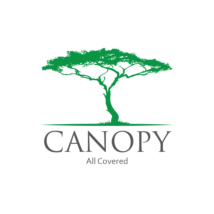 Logo Design by Raheel Saeed for Mesitis Capital Pte Ltd | Design #5591663