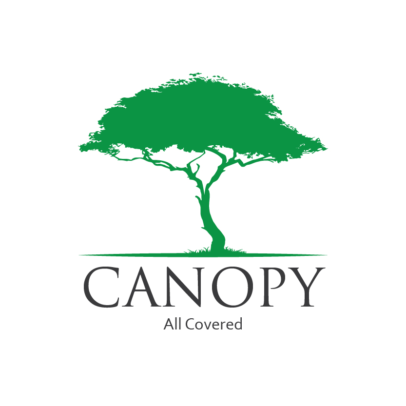 Logo Design by Raheel Saeed for Mesitis Capital Pte Ltd | Design #5591670