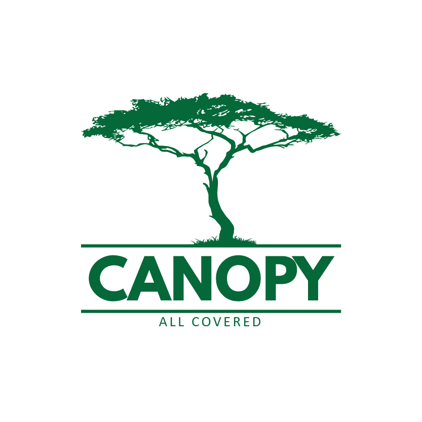 Logo Design by Raheel Saeed for Mesitis Capital Pte Ltd | Design #5593885