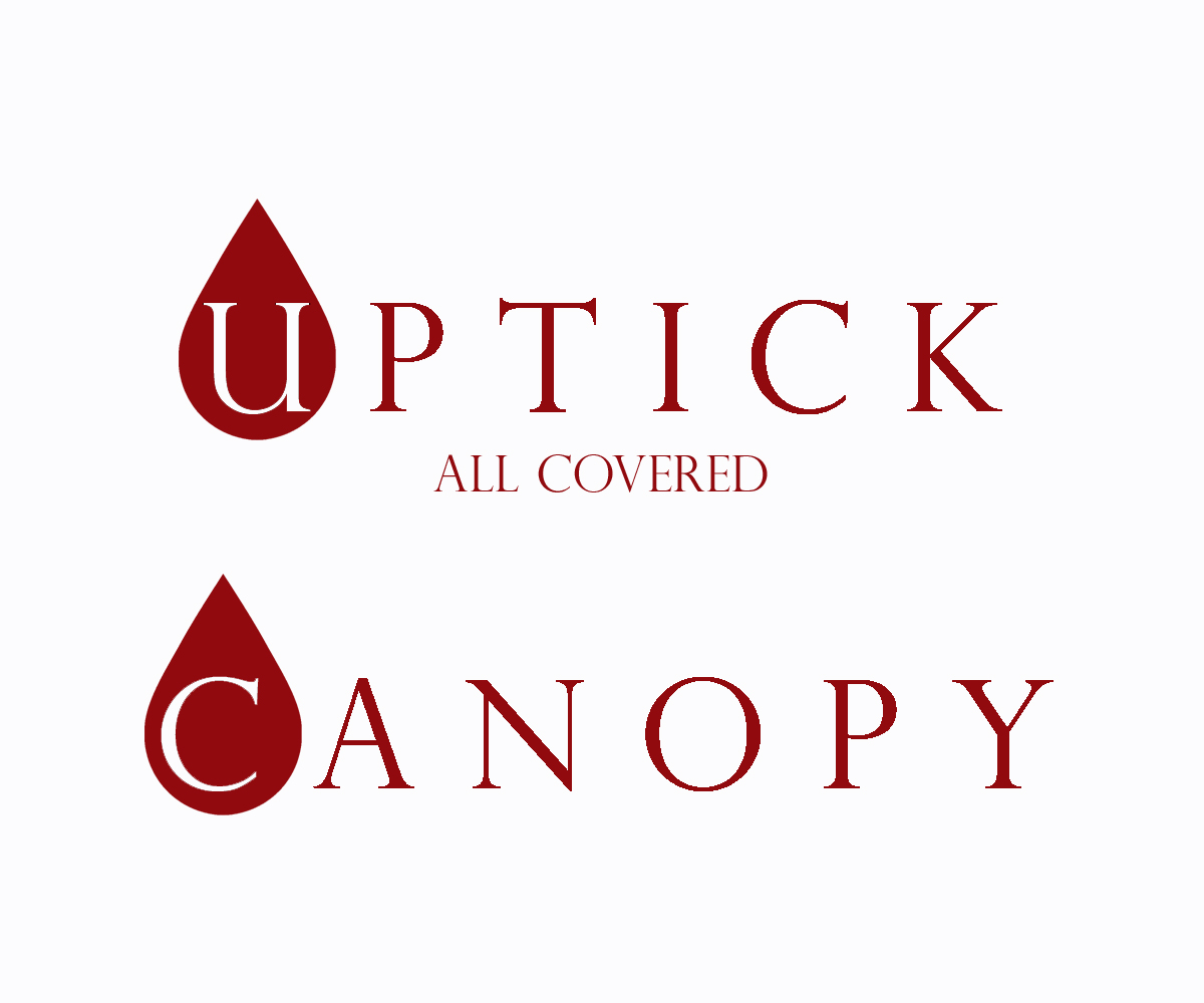 Logo Design by Matthew Fawcett for Mesitis Capital Pte Ltd | Design #5553013